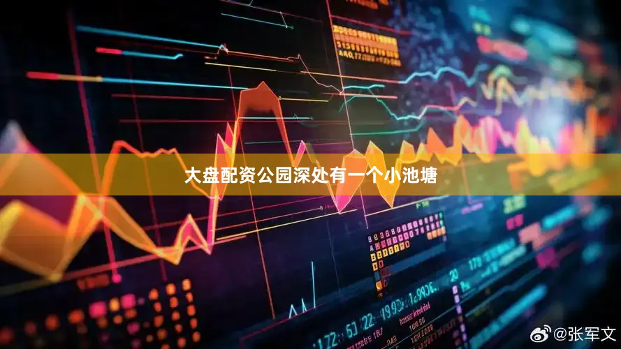 大盘配资公园深处有一个小池塘
