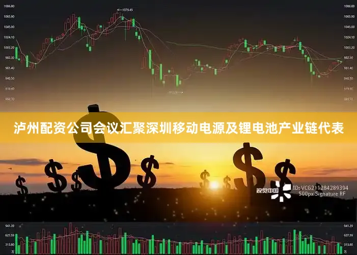 泸州配资公司会议汇聚深圳移动电源及锂电池产业链代表
