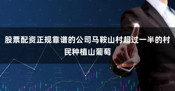 股票配资正规靠谱的公司马鞍山村超过一半的村民种植山葡萄