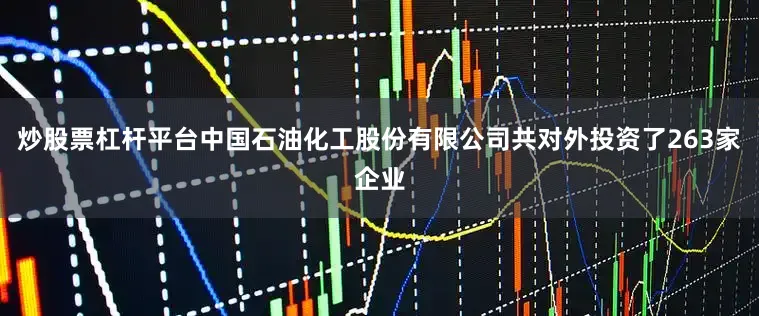 炒股票杠杆平台中国石油化工股份有限公司共对外投资了263家企业