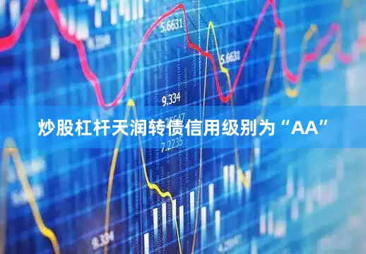 炒股杠杆天润转债信用级别为“AA”